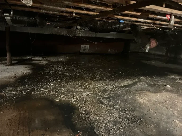 Damp, dark crawl space with exposed pipes and wooden beams overhead.