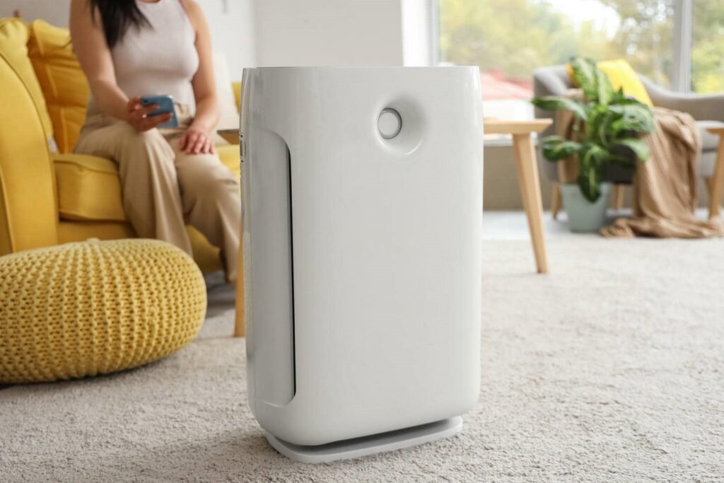 What Are Emergency Dehumidification Services?