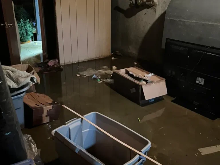 Basement flooded with water, containing scattered boxes and debris.