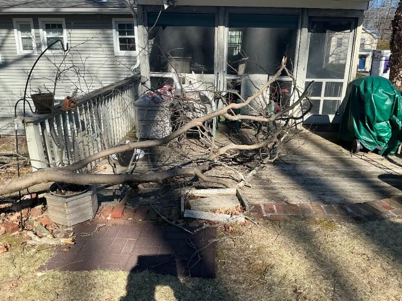 Large fallen tree branch lying across a backyard patio and grass near a house.