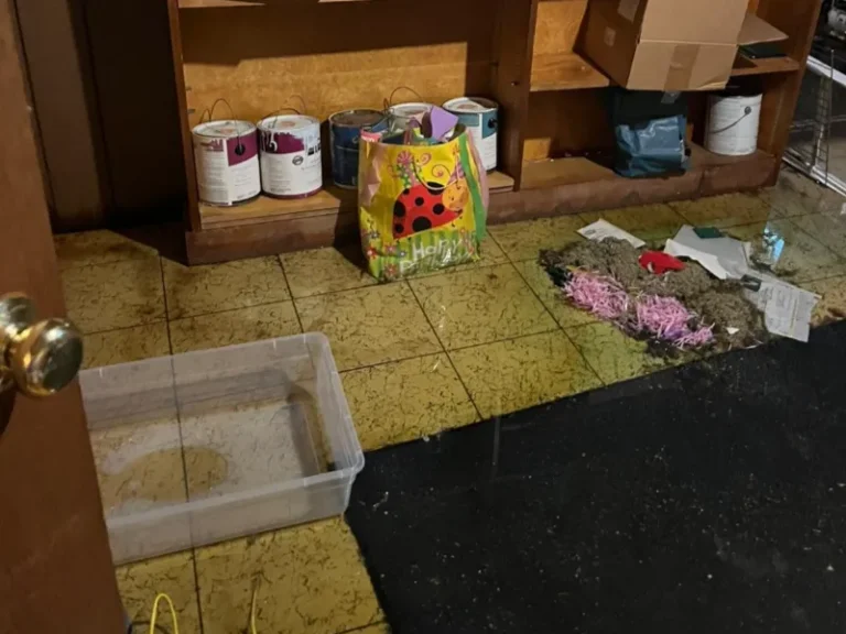 Plastic container on tiled floor with paint cans, a colorful bag, and scattered papers and debris nearby.